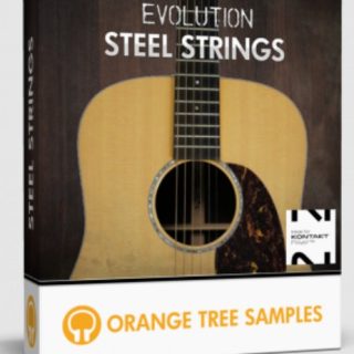 Orange Tree Samples Evolution Steel Strings