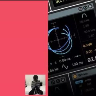 Mudjaq Whale v1.1 Max for Live