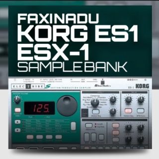 Ocean Swift Faxinadu Korg ES1 ESX-1 Samplebank