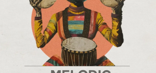 Bingoshakerz Melodic and Afro House Grooves