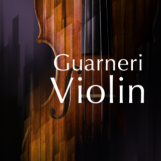 Native Instruments Guarneri Violin v2.0.0 KONTAKT