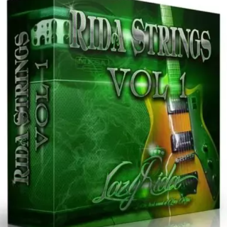 Platinum Circle Loops Rida Strings: Electric Guitar Loops
