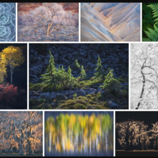 Alex Noriega Photography – Simplify Tutorial