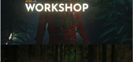 Joo Works – ACES Lite – Workshop
