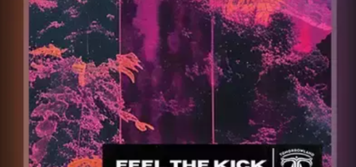 Tomorrowland Academy Sample Pack : Feel The Kick