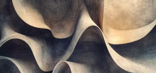 Imaginando FRMS Bellows And Bones