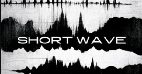 Triumph Audio Short Wave KONTAKT